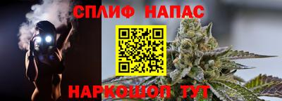 спиды Ставрополь