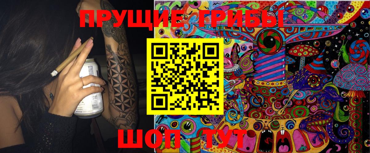 Саров  Псилоцибиновые грибы мицелий  Вход с VPN 