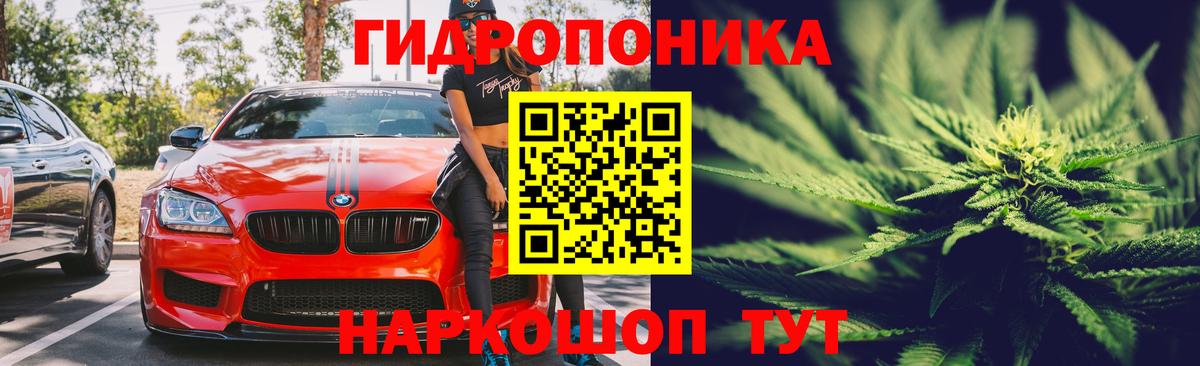 Конопля White Widow  Бошки марихуана план  Каннабис THC 21%  Саров  Каннабис MAZAR  Вход с VPN 